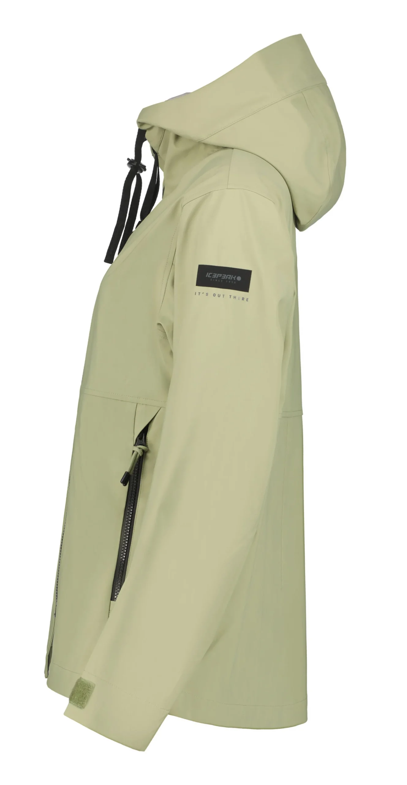 Icepeak Actom