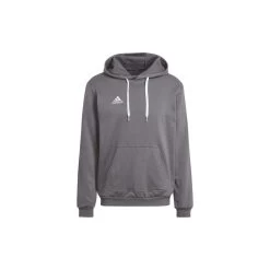 ADIDAS PERFORMANCE Adidas Entrada 22 Hoodie Herren - Grau
