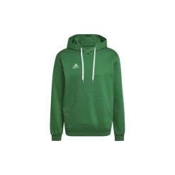 ADIDAS PERFORMANCE Adidas Entrada 22 Hoodie Herren - Grün