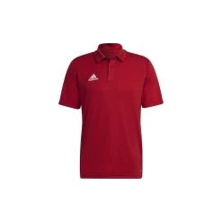 ADIDAS PERFORMANCE Adidas Entrada 22 Poloshirt Herren - Rot