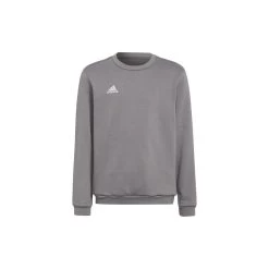 ADIDAS PERFORMANCE Adidas Entrada 22 Sweatshirt Kinder - Grau