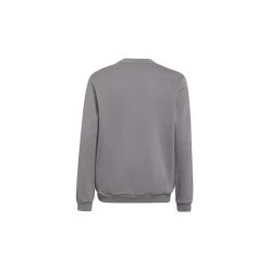 Sportbekleidung Verkauf -Sportbekleidung Verkauf adidas entrada 22 sweatshirt kinder grau2