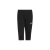 ADIDAS PERFORMANCE Adidas Entrada 22 Trainingshose 3/4 Herren- Schwarz