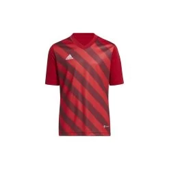 ADIDAS PERFORMANCE Adidas Entrada 22 Trikot Kinder - Rot