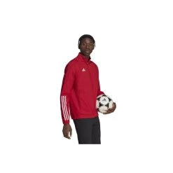ADIDAS PERFORMANCE Adidas Tiro 23 Competition Präsentationsjacke Herren - Rot 11 ADIDAS PERFORMANCE Adidas Tiro 23 Competition Präsentationsjacke Herren - Rot -Sportbekleidung Verkauf adidas tiro 23 competition praesentationsjacke herren rot4