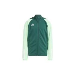 ADIDAS PERFORMANCE Adidas Tiro 23 Competition Traingsjacke Kinder - Grün