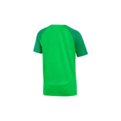 Nike Academy Pro T-Shirt Kinder - Grün -Sportbekleidung Verkauf nike academy pro t shirt kinder gruen2