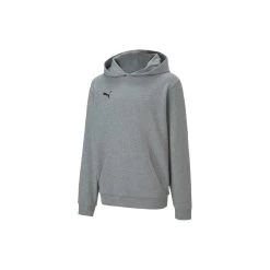 Puma TeamGOAL 23 Casuals Hoodie Kinder - Grau
