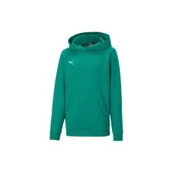 Puma TeamGOAL 23 Casuals Hoodie Kinder - Grün