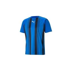 Puma TeamLIGA Striped Trikot Herren - Blau/schwarz